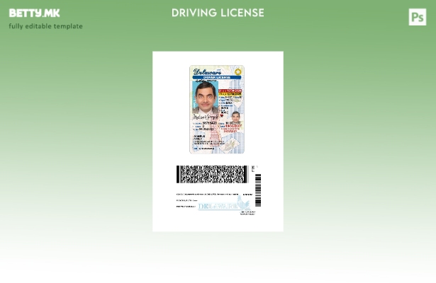 модерен стил САД Делавер под шаблон за возачка дозвола